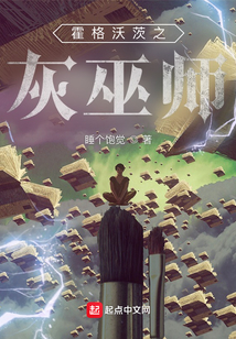 霍格沃茨之灰巫师TXT