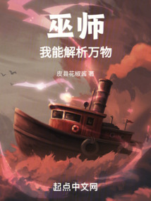 巫师:我能解析万物