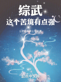综武这个苦境有点强下载