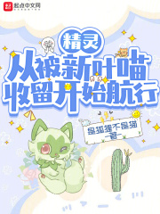 从精灵开始的