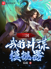 三国:我的计谋模拟器小说