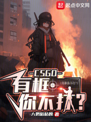 csgo小框框