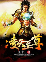 凌天至尊庄十三
