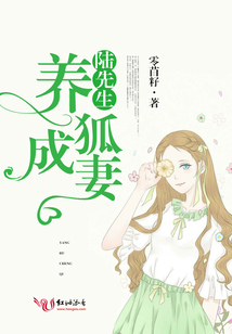 陆先生宠妻日记 小说