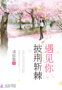 披荆斩棘遇见你免费阅读