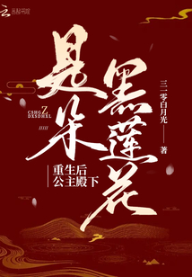 重生后公主殿下是朵黑莲花沈千昭
