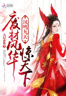 凤鸣九天小说全文免费阅读