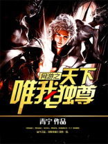 网游之天下唯我独尊小说