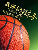 我有一个篮球梦想
