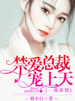 小说一夜深情 禁爱总裁宠上天