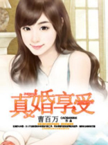 真婚暖爱免费阅读全文