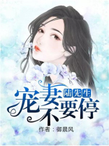 陆先生,宠不够免费阅读
