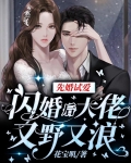 先婚试爱免费阅读
